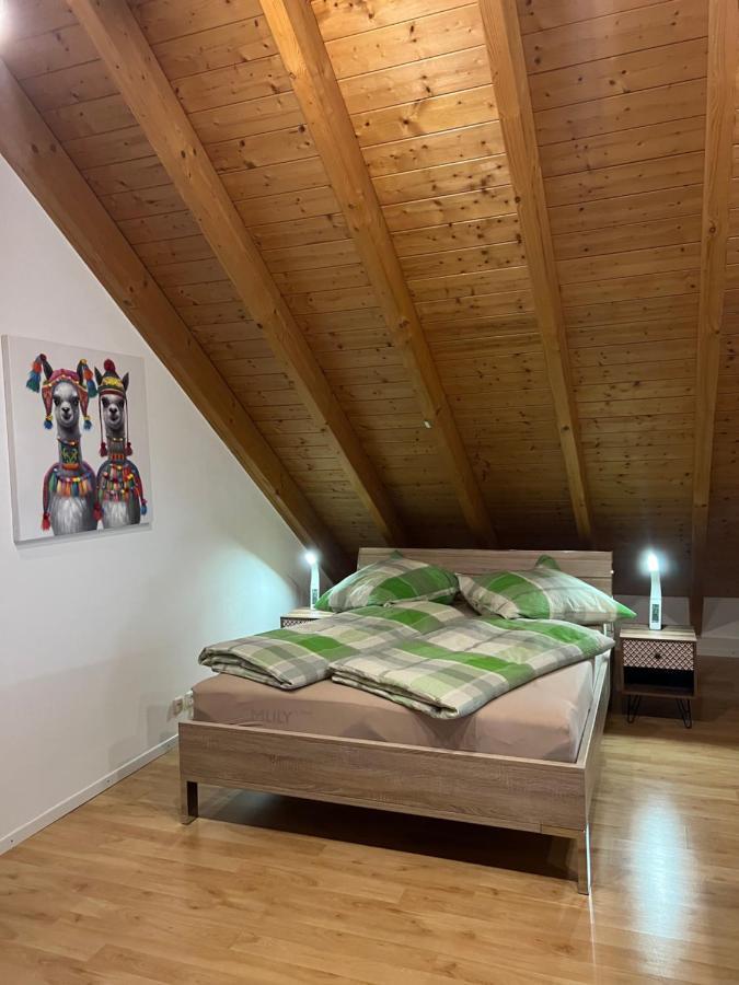 Zentral In - Konus Gaestekarte Inklusive Appartement Lörrach